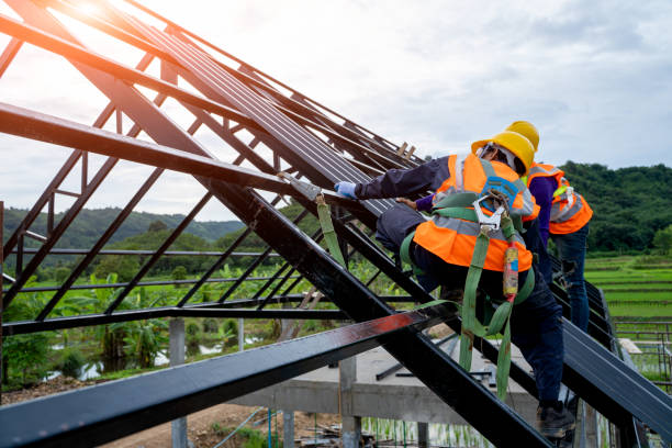 Best Roof Maintenance Services  in Todd Creek, CO