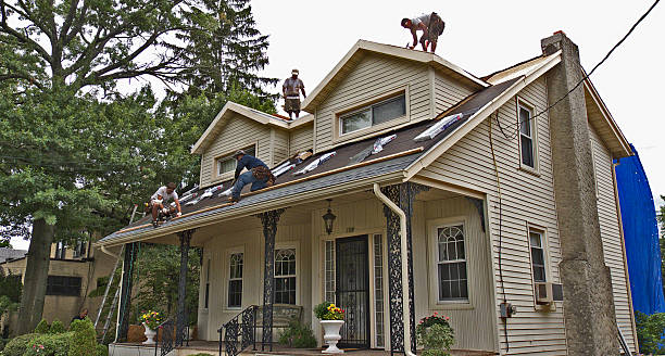 Roof Gutter Cleaning in Todd Creek, CO