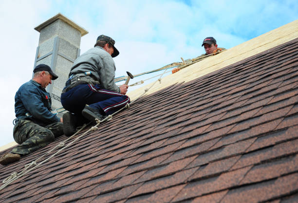 Gutter Installation and Roofing in Todd Creek, CO