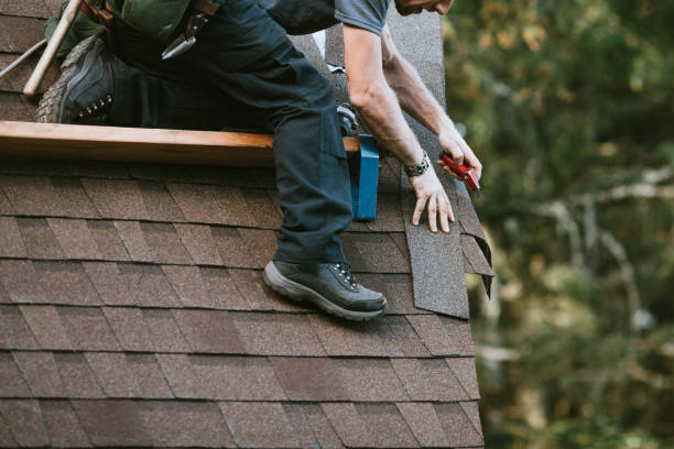 Best Local Roofing Companies  in Todd Creek, CO