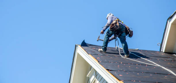 Best Commercial Roofing Services  in Todd Creek, CO
